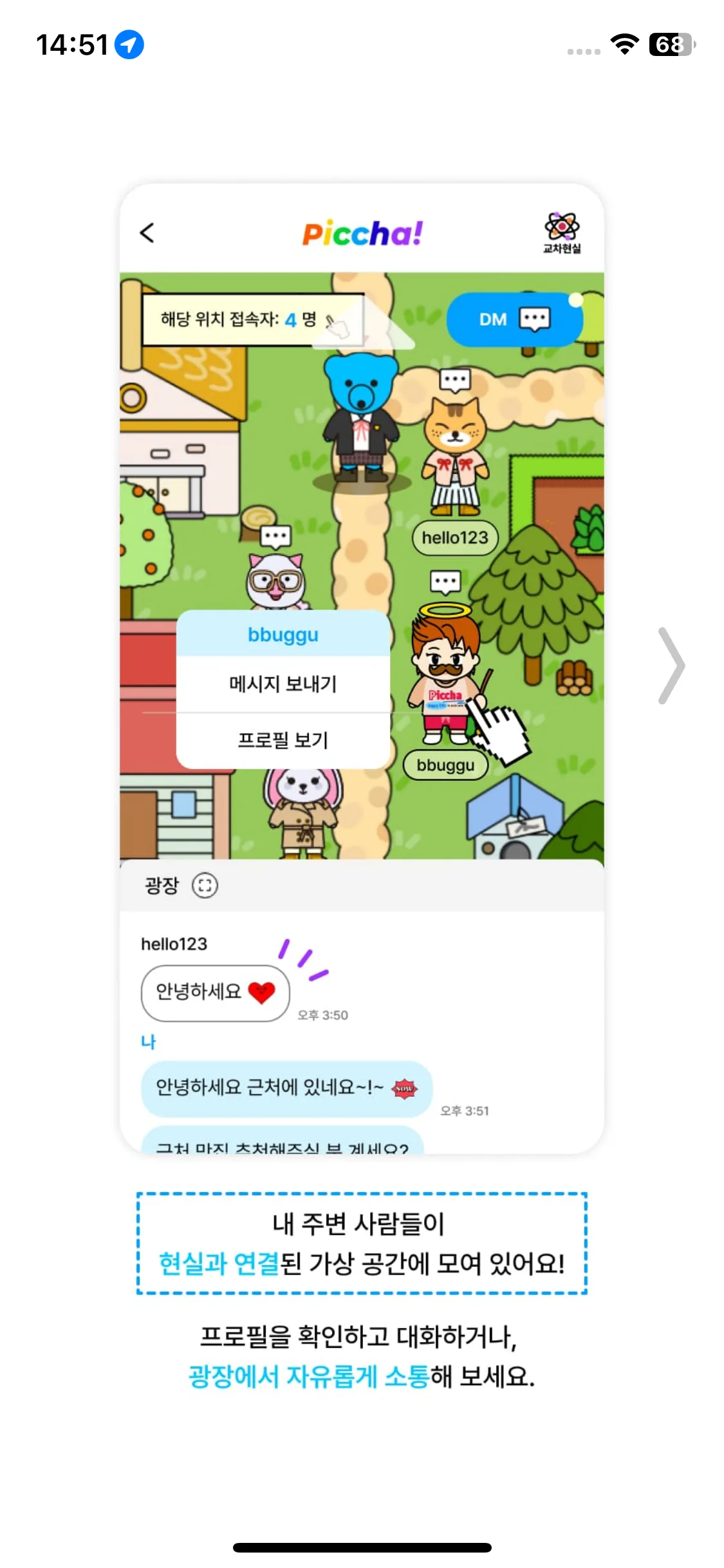 Test Image 13